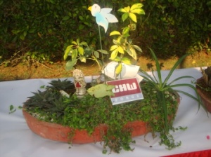 DSC00336 - CHW Flower Show